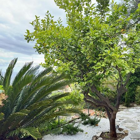 Villa Cielo Costarainera ภายนอก รูปภาพ